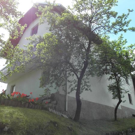 Appartement Pr' Hribar à Zgornje Gorje Extérieur photo