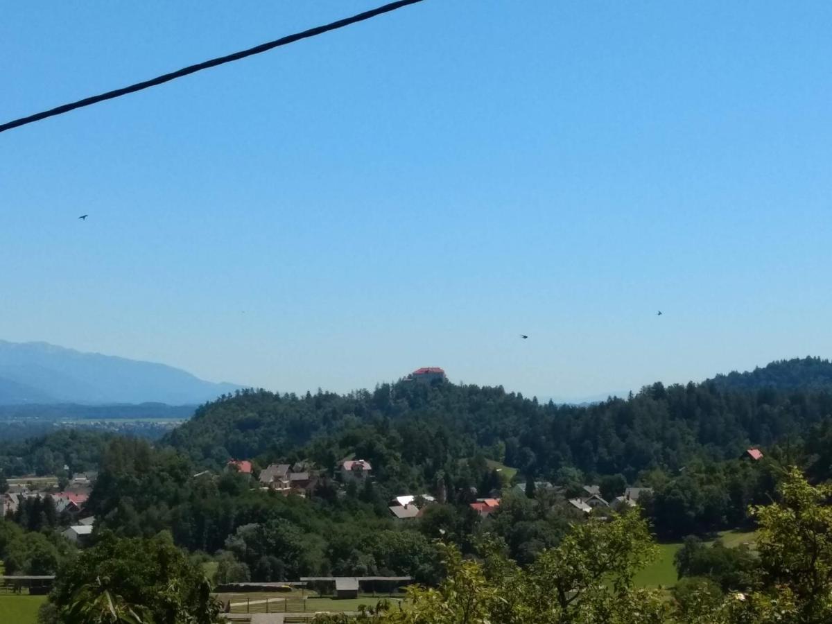 Appartement Pr' Hribar à Zgornje Gorje Extérieur photo