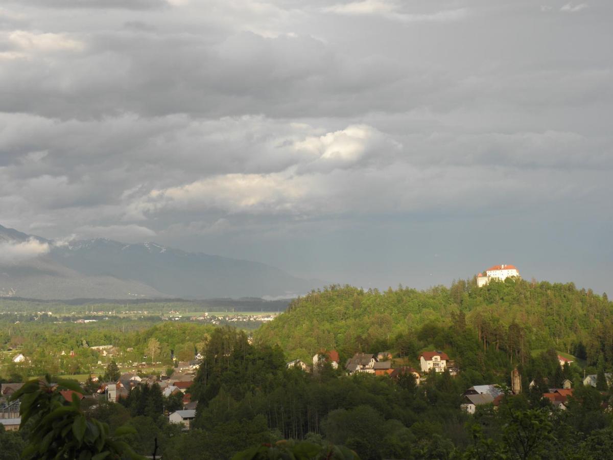 Appartement Pr' Hribar à Zgornje Gorje Extérieur photo