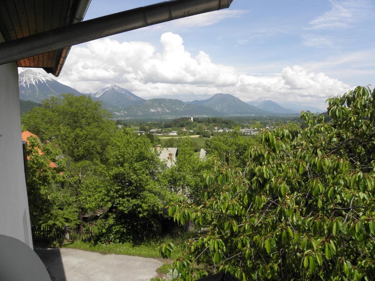 Appartement Pr' Hribar à Zgornje Gorje Extérieur photo