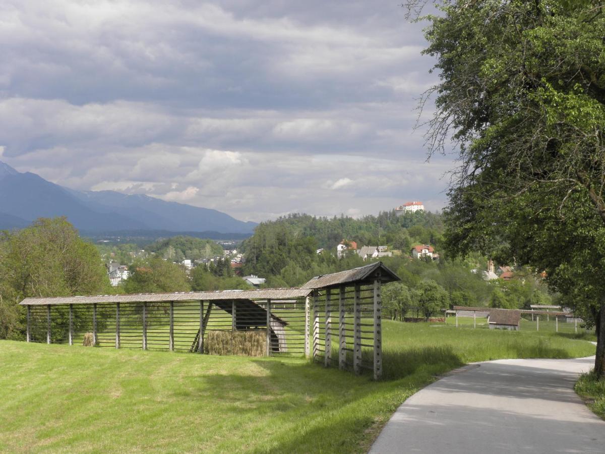 Appartement Pr' Hribar à Zgornje Gorje Extérieur photo